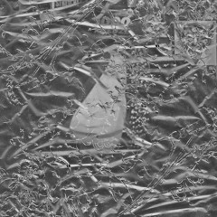 ✧*KEVAJUNGE SILVERSKIN SET 14.03.26*✧