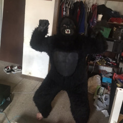 Godzilla porn freestyle ft redneckshaggy