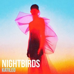 Nightbirds 25