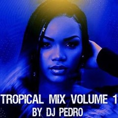 DJ PEDRO - TROPICAL MIX VOL1