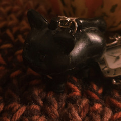 logan plays the zabinga in arts colloquium