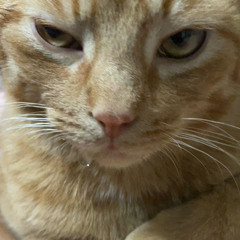 2024-07-21 (Beloved Radio Guest Mix)