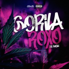 MTG - GORILA ROXO - DJ GUIZIM (COMPLEXO DOS HITS)