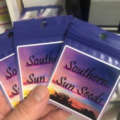 All About Trees Ep. 2 - Southern Sun Seeds with Sunny!