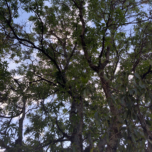 Minimal Tech (Vol. 1)