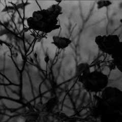 I (Heart) You - KMFDM slowed