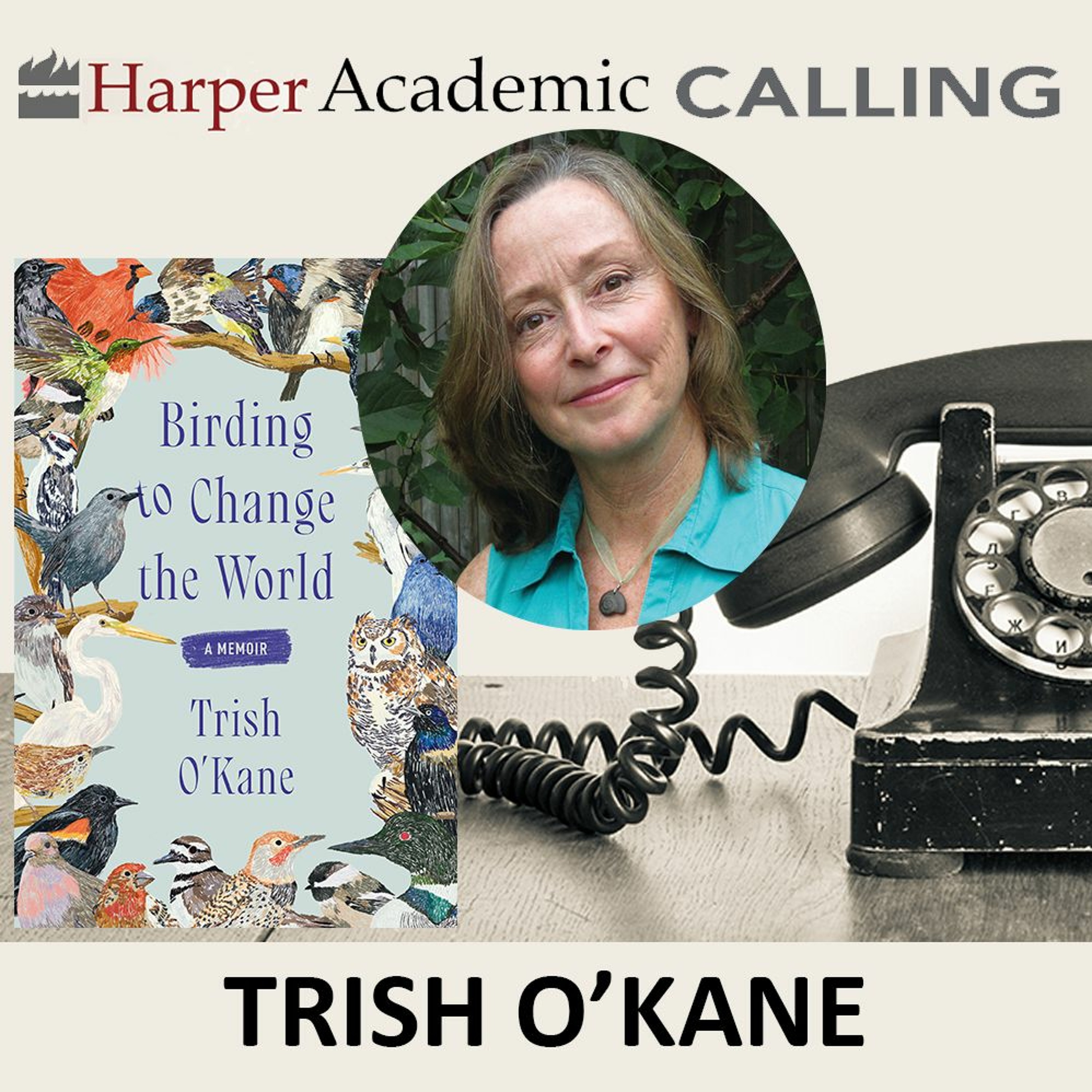cover of episode Trish O'Kane