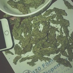 Let Your Hair Down (POPE RZ)