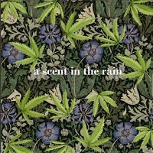 a scent in the rain