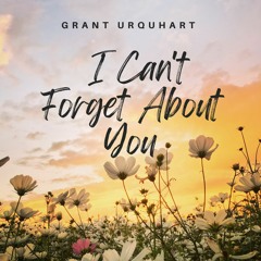 I Can't Forget About You