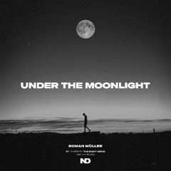 Roman Müller - under the moonlight