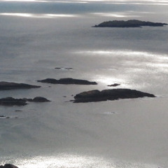 thinking bout rich junkies