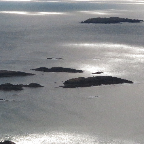 thinking bout rich junkies