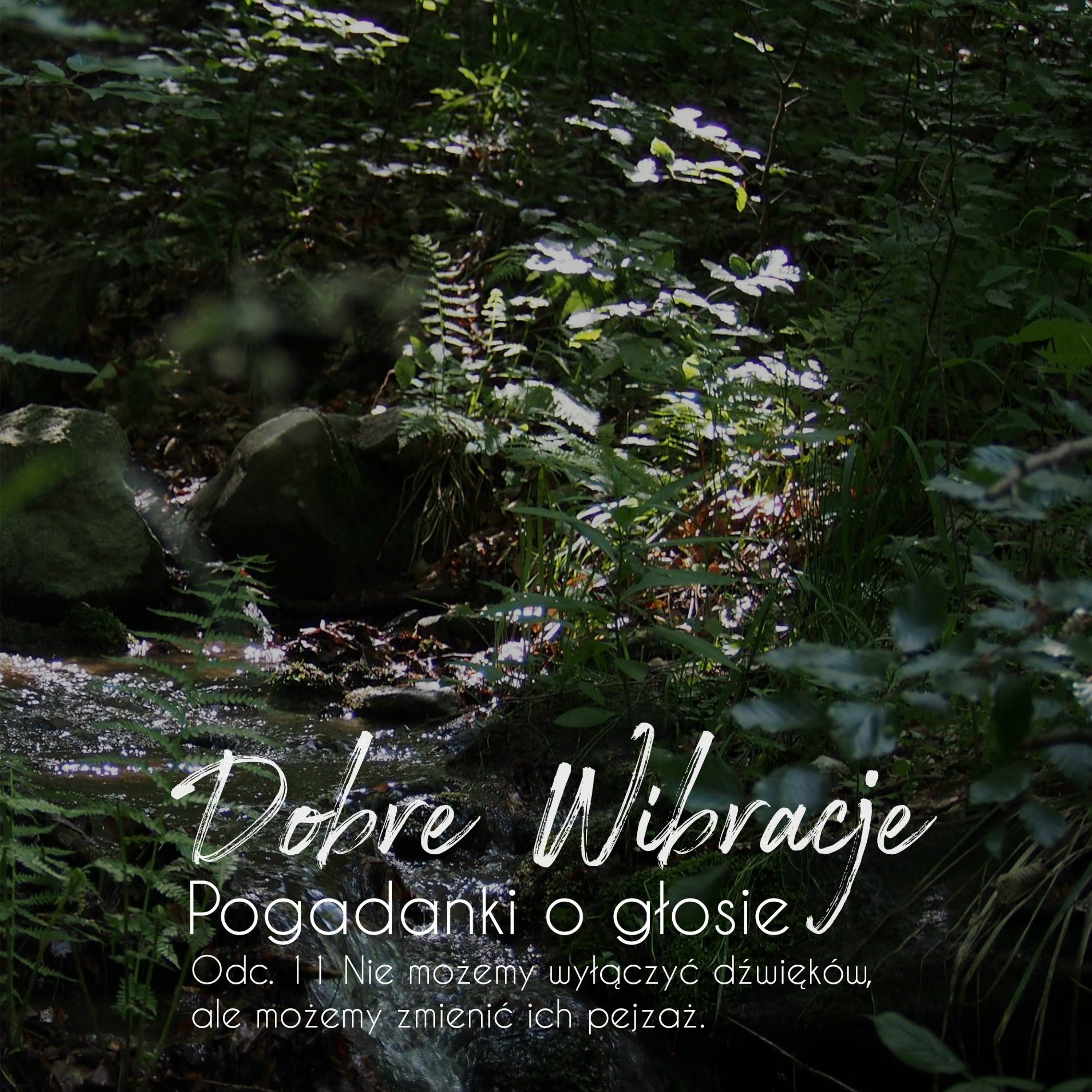 Dobre Wibracje