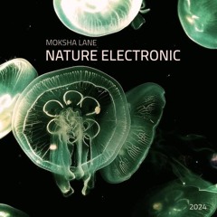 ML | NATURE.ELECTRONIC (Podcast 02.2024)