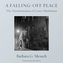 ✔Epub⚡️ A Falling-Off Place: The Transformation of Lower Manhattan