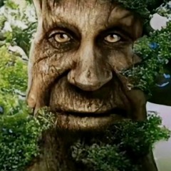 CATS – The Living Tombstone