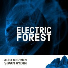 Sivan Aydin x Alex Derron - Electric Forest (Original Mix) [Extended Mix]