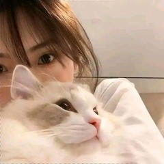 neko : re (Feat. yaho)