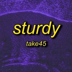 Take45 - Sturdy (Lyrics)