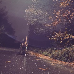 RainBounce (prod. sensüs616)