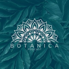 Botanica #29