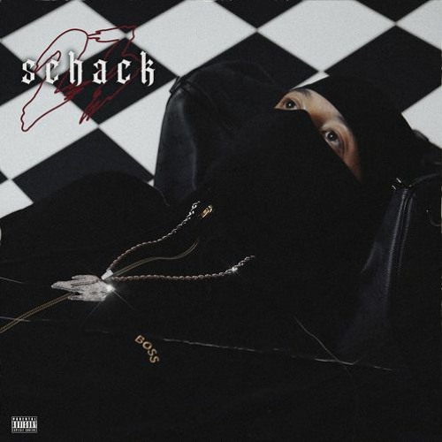 23 - Schack