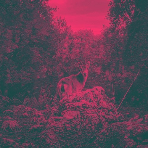 Dark pie mind ( Élise Delmotte & Hans Dupiereux )