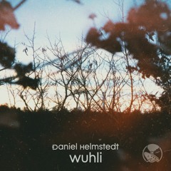 Daniel Helmstedt - Wuhli