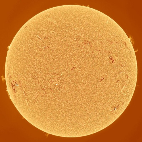 M.flare.11