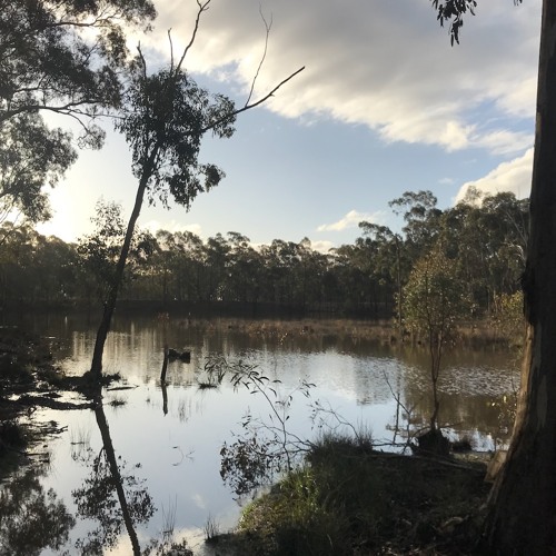 In the swish of a dragonflies' tail (naviarhaiku399)