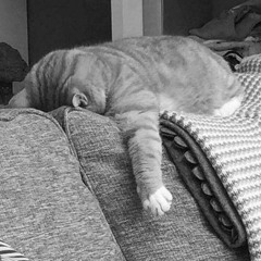 BREAKBEAT INGIN MEMELUK DIRIMU