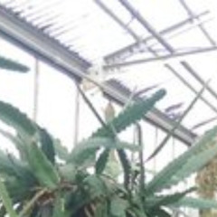 untitled_hzzyknz_130_70 evilmode