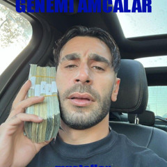 Genemi Amcalar