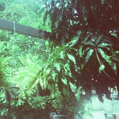 what a wonderful world