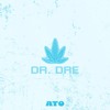 The Next Episode (ATO REMIX)