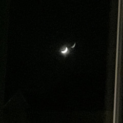 Insominatic (Prod. Splited Stupid)