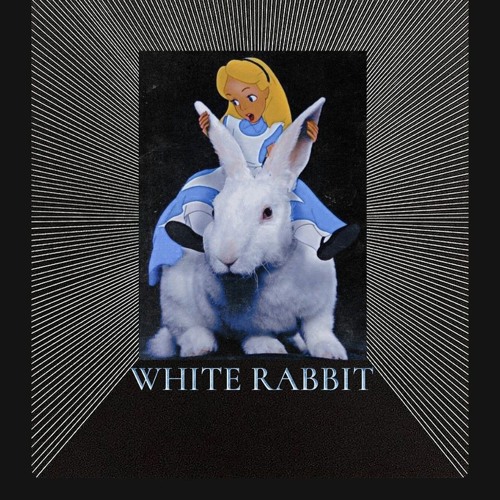 WHITE RABBIT
