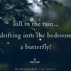 The Interstices of Rain (NaviarHaiku501)