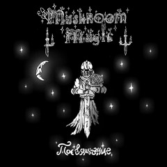 Mushroom Magic - Рыцарь ночи (demo, 2022)