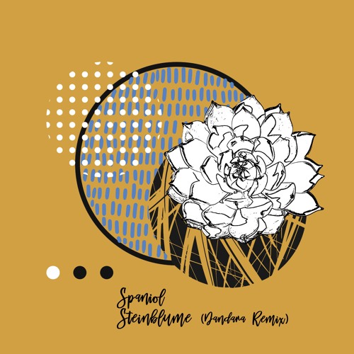Spaniol - Steinblume (Dandara Remix) [trndmsk]