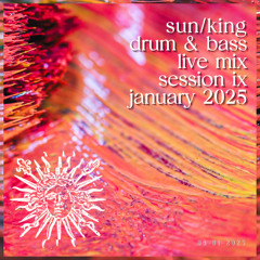 January 2025 - Session IX