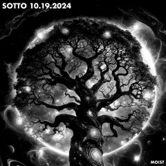 SOTTO 10.19.2024