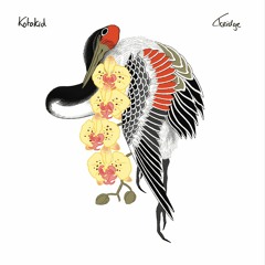 kotokid - 'ignite'