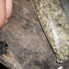 meant it twice  seen it once be that fool.