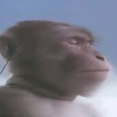 Luan Pereia - Fazendeiro | Hoodtrap Remix (prod.bxrge$)