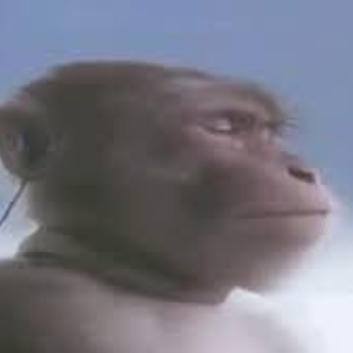 Luan Pereia - Fazendeiro | Hoodtrap Remix (prod.bxrge$)