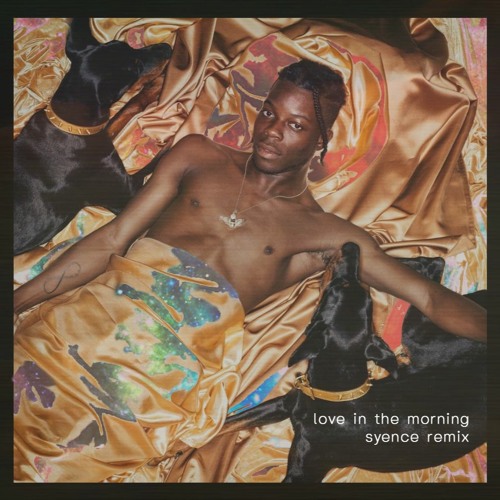 Thutmose, Rema, R3hab - Love In The Morning (Syence Remix)