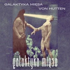Galaktyka Mięsa