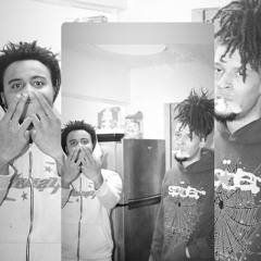 DisDat